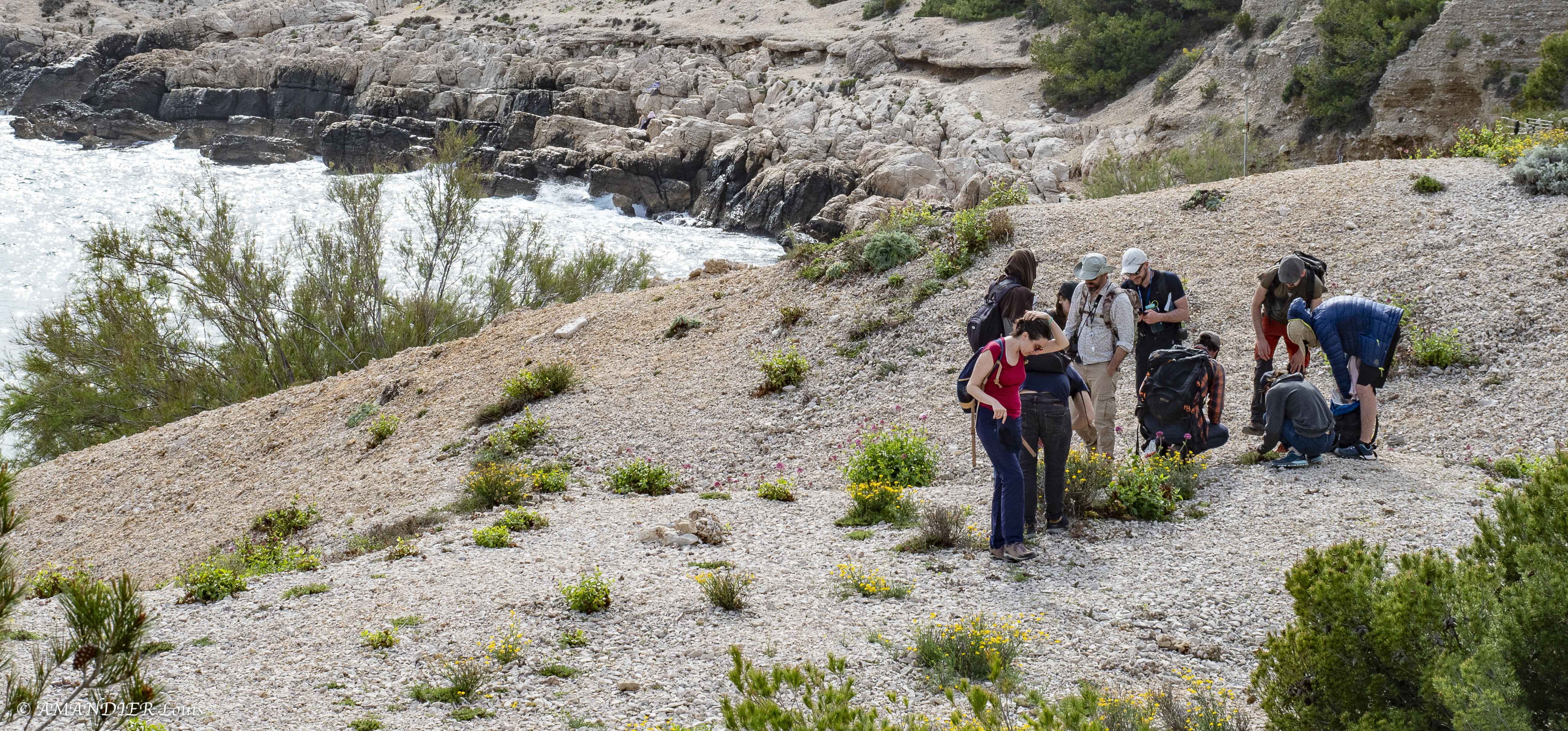 Paysage des Calanques